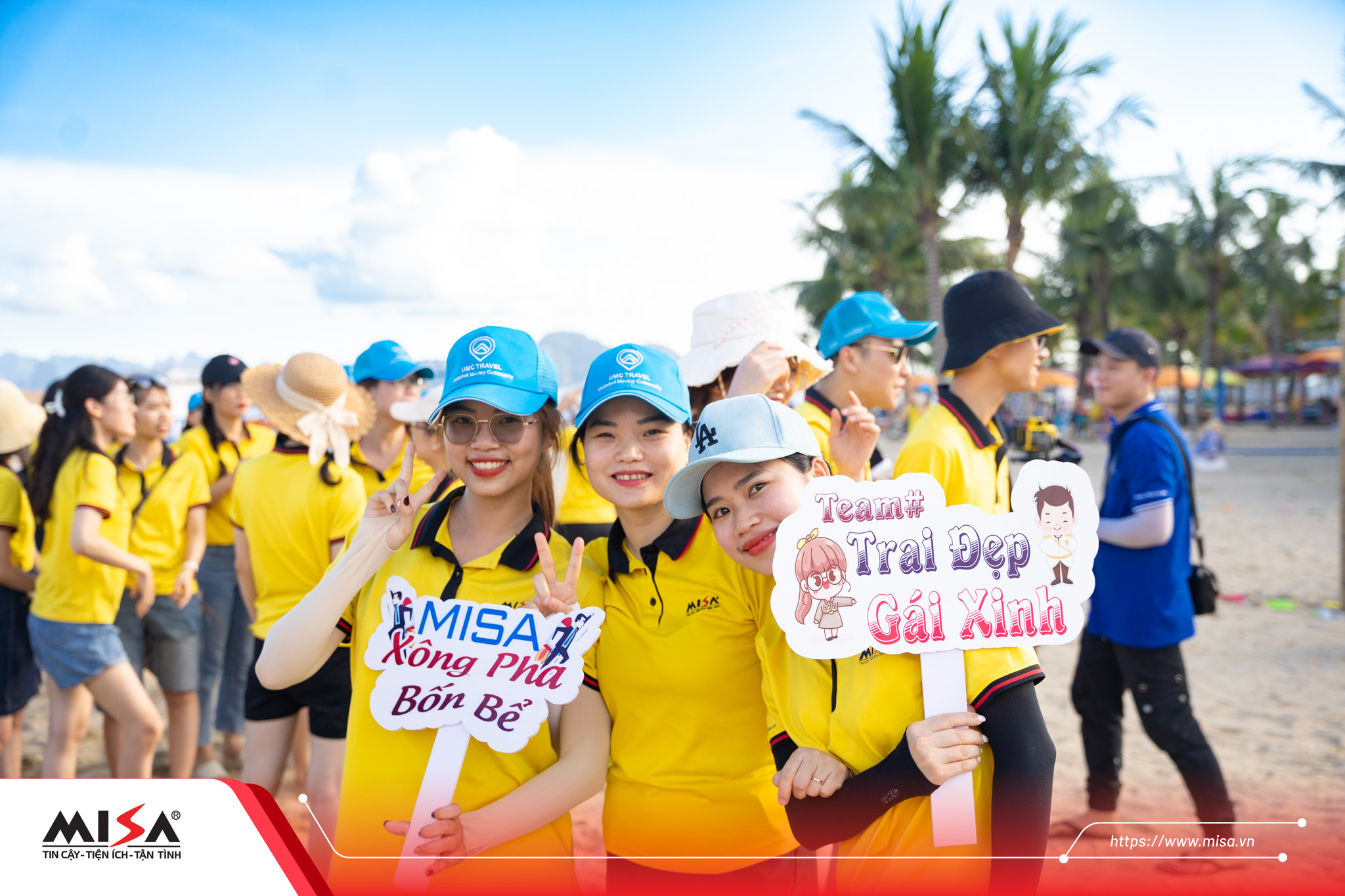 lĩnh vực hoạt động